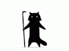 ninja-raccoon.gif