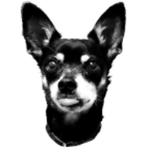 Profile (apfaffmanfki)