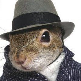 Agent_Squirrel_400x400.jpg