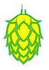 Hop_cone02.jpg