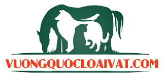logo-vuong-quoc-loai-vat.png