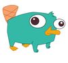 baby-perry-the-platypus.jpg
