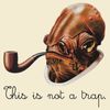 this is not a trap.jpg