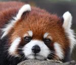 Profile (masakazu.kobayashi)