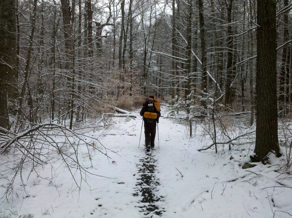 2011-03-27 11.02.54.jpg