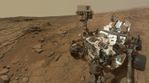 rover.jpg