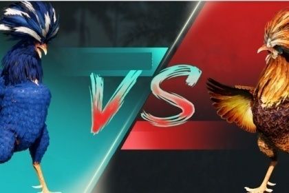 AVT tructiepdaga365.jpg