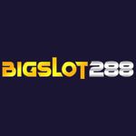 bigslot288.jpg
