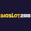 bigslot288.jpg