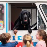 Profile (MattKissler)