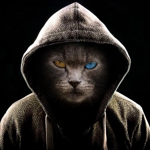 mr.robot.jpeg