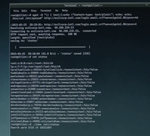 Mr. Robot_wget-shellshock-john.png