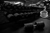 HammerStrength-1.jpg