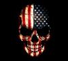 Binary Americal Flag Skull.png