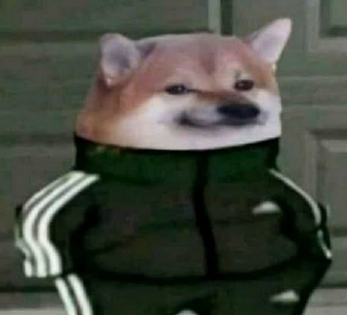 doggo.jpg