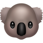 koala.png