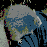 Profile (Bigrat)