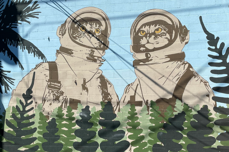 Space Cats 2.png
