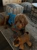 Beckham.jpg