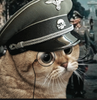 Captura de pantalla 2024-03-04 212439.png