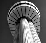 Profile (DanBush)