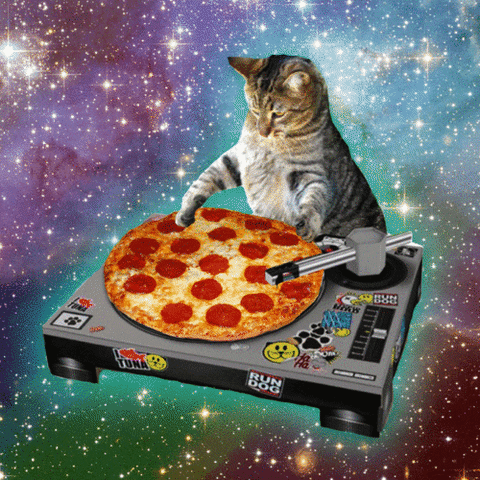 Cat pizza.gif