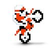 excitebike250.jpg