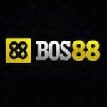 BOS88 2 ..jpg