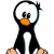 Baffled Penguin.gif