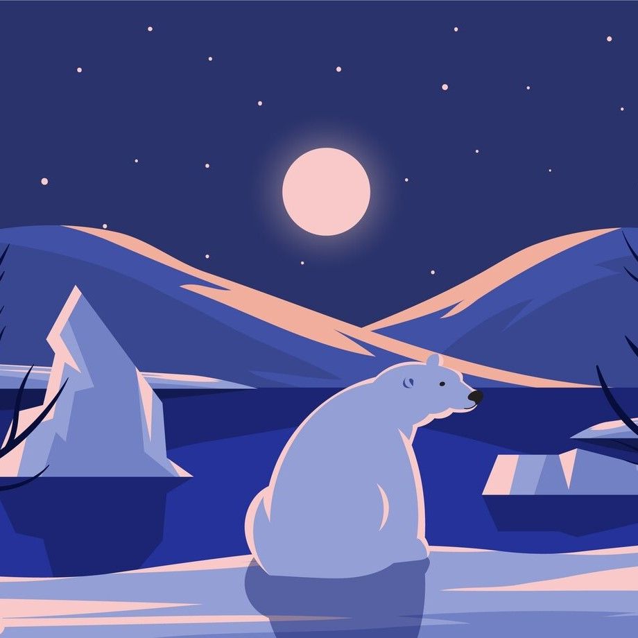 flat-north-pole-winter-b-2149851547.jpg