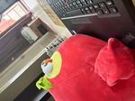 Profile (sleepymuay)