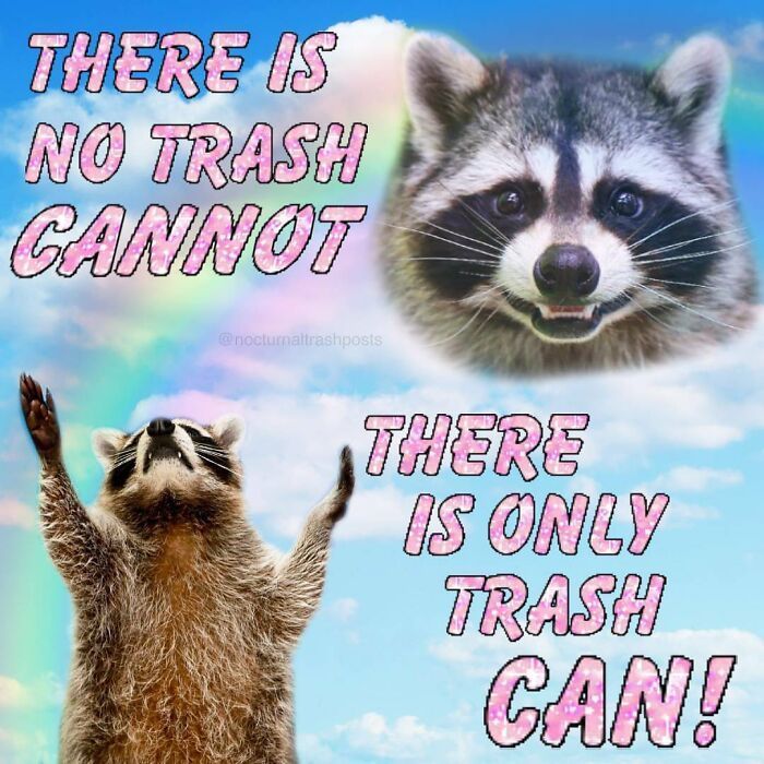 “Nocturnal Trash Posts”_ 30 Of The Best Raccoon Memes This Dedicated Instagram Account Has To Offer.jfif