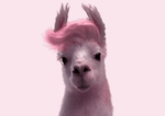 llama_do.png