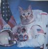 astro-cat.jpg