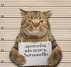 S__48603138.jpg