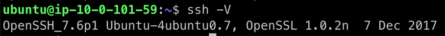 Fig 4: Insecure OpenSSH version before remediation