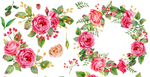 flower.png