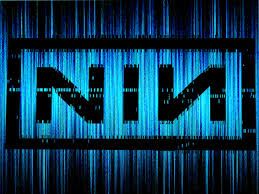 nin.jpg