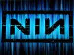 nin.jpg
