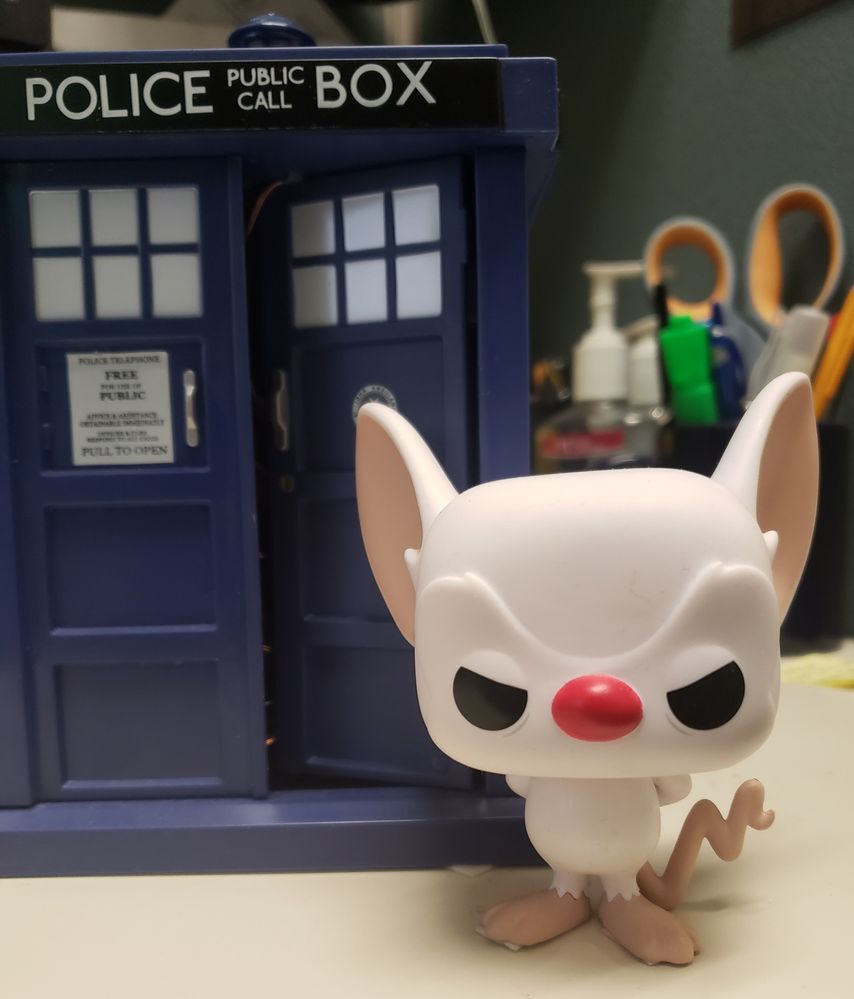 20201229_094532.jpg