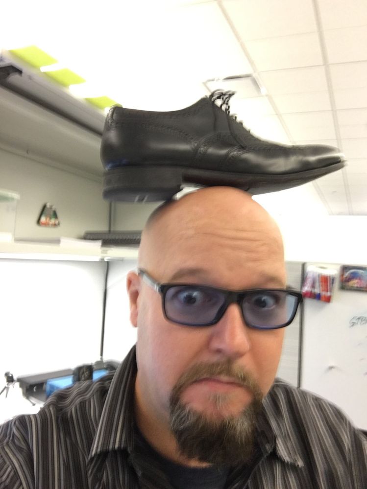 Shoe on Head 2016.jpg