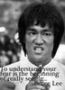 lee.jpg