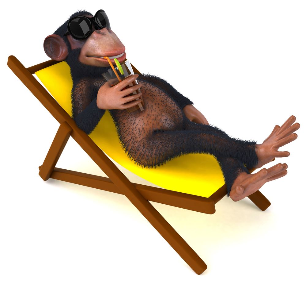 lazymonkey.jpg