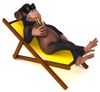 lazymonkey.jpg