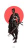 NeoSamurai.jpg