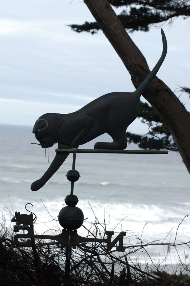 DSC_1756.JPG