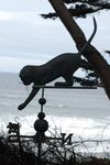 DSC_1756.JPG