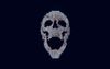 skull.jpg