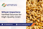 Wheat Importers_ Verified Sources for High-Quality Grain.png