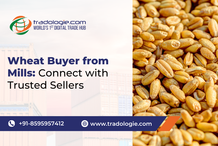 Wheat Buyer from Mills_ Connect with Trusted Sellers.png